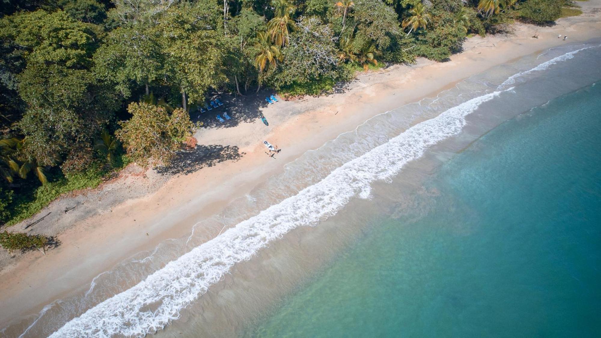 Casa Viva Lodge Puerto Viejo de Talamanca Eksteriør billede