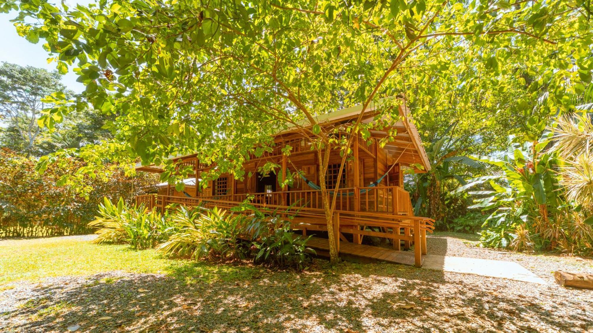 Casa Viva Lodge Puerto Viejo de Talamanca Eksteriør billede