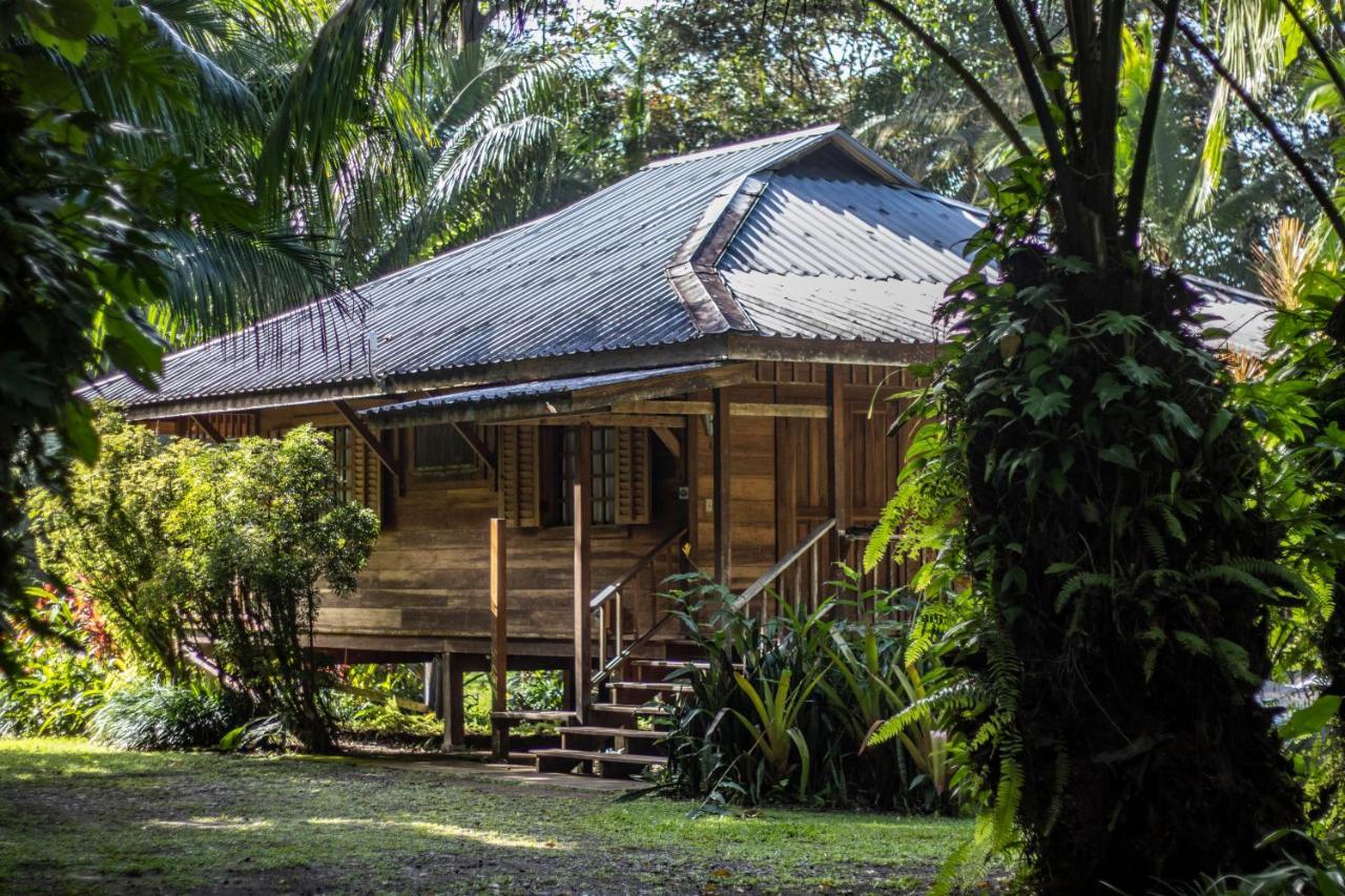Casa Viva Lodge Puerto Viejo de Talamanca Eksteriør billede