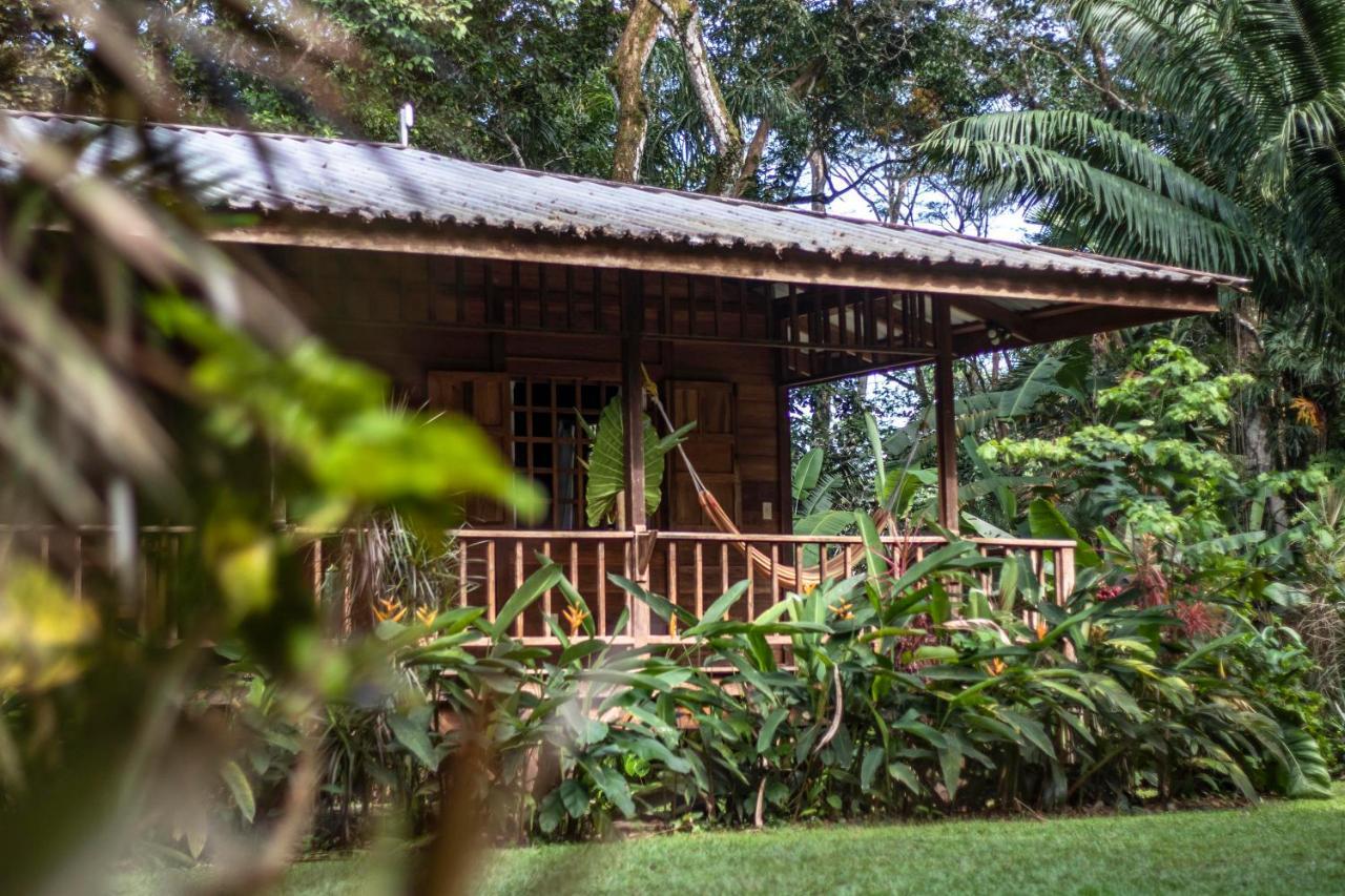 Casa Viva Lodge Puerto Viejo de Talamanca Eksteriør billede