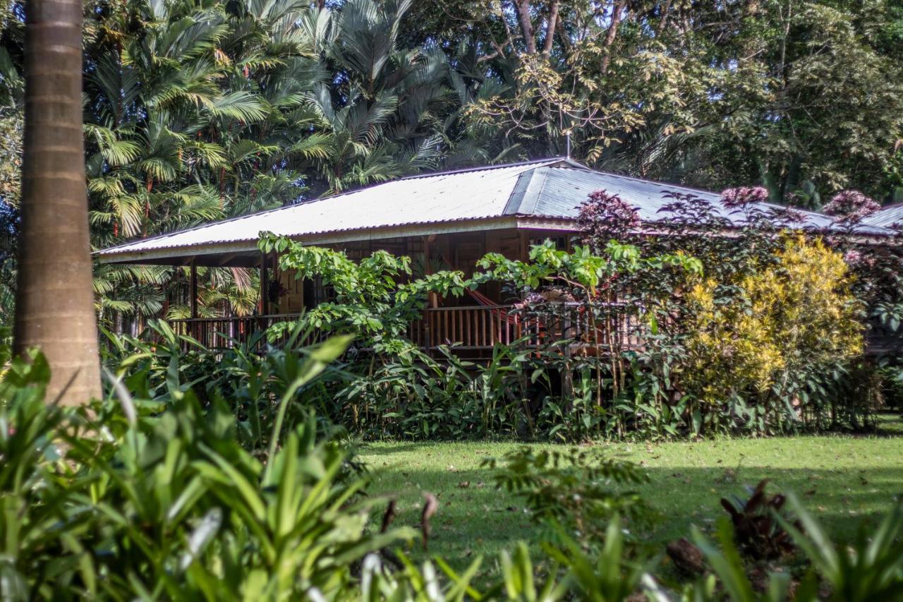 Casa Viva Lodge Puerto Viejo de Talamanca Eksteriør billede