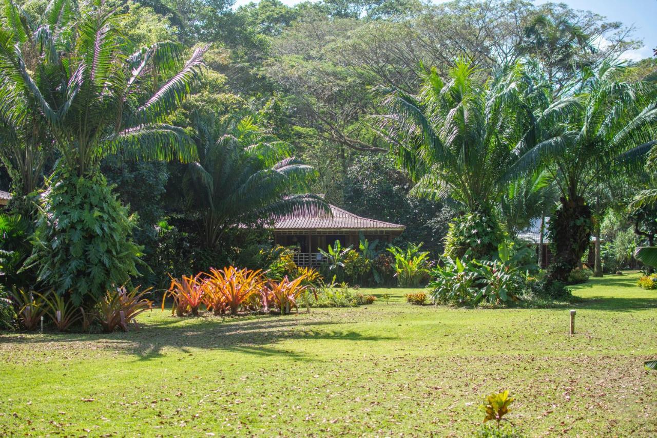 Casa Viva Lodge Puerto Viejo de Talamanca Eksteriør billede